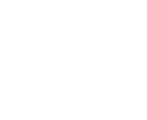 downtown FLWR